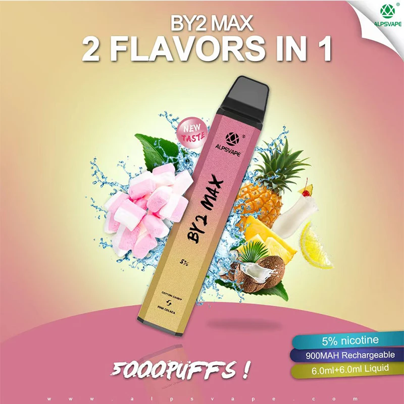 ALPSVAPE BY2 MAX 5000 electronic cigarette disposable vape 1