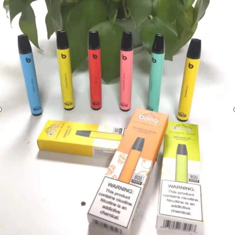 Bang Mini 800 Puffs Vape แบบใช้แล้วทิ้ง