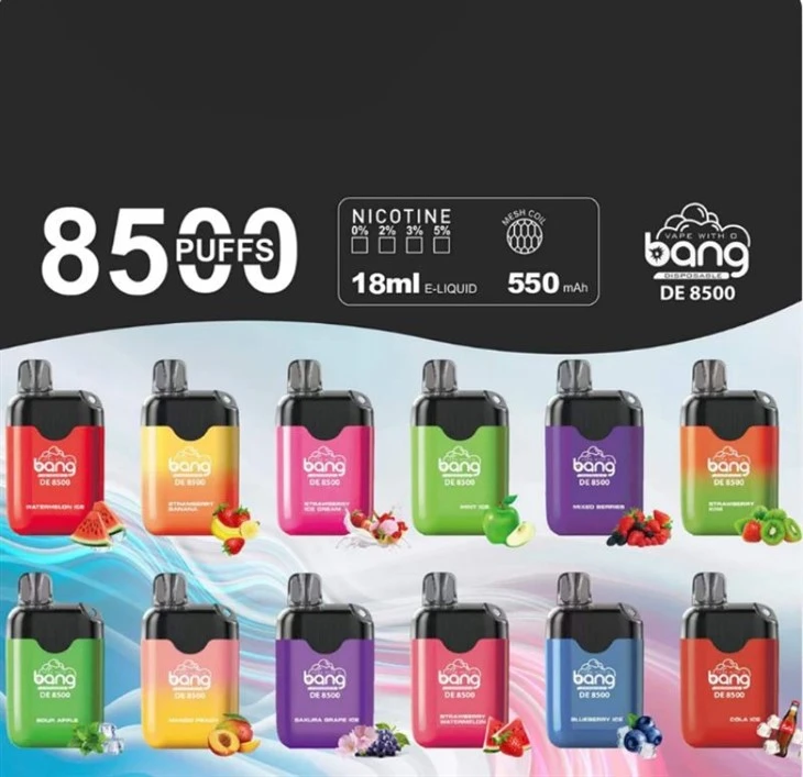 Bang DE 8500