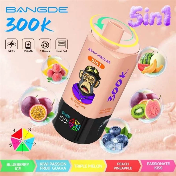 BANG DE 300K 7
