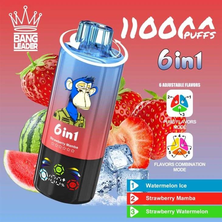 ผู้นำปัง 110000
