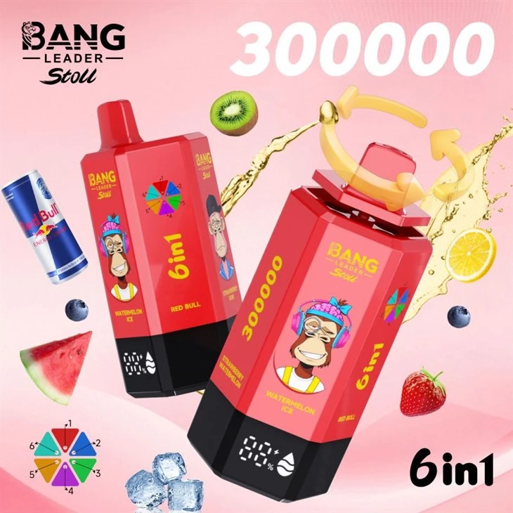 ผู้นำบาง 300K