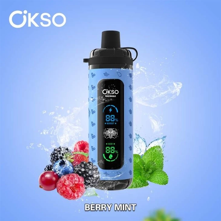berry mint OKSO Shisha Max 40k