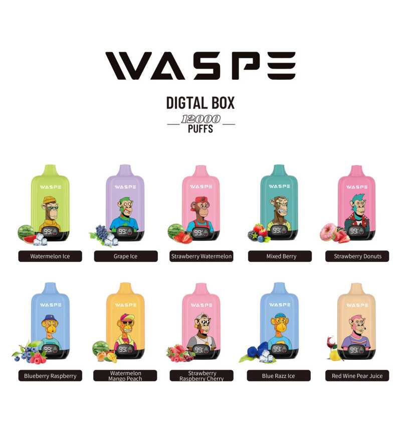 WASPE Digital Box 12000 23 WASPE Digital Box 12000 23