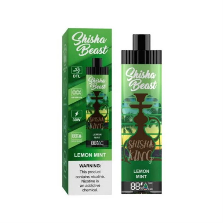 R&M ShiSha Beast 20,000 พัฟ