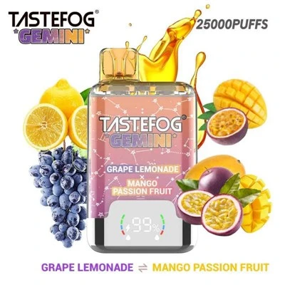 Tastefog Gemini 25000 พัฟ