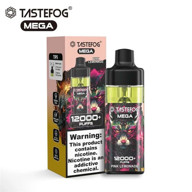 TASTEFOG MEGA 12000 13